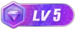 LV5 等级-LV5-神器资源库